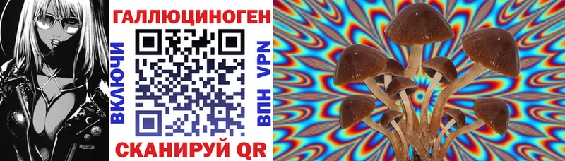 где купить   omg ссылки  Галлюциногенные грибы мухоморы  Порхов 